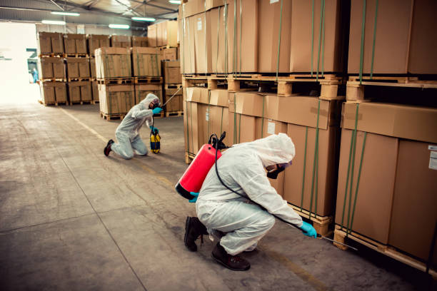 Best Pest Inspection Near Me  in Kalifornsky, AK