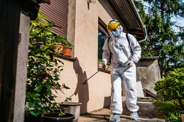 Best Best Pest Control Companies  in Kalifornsky, AK