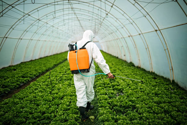 Best Affordable Pest Control Services  in Kalifornsky, AK