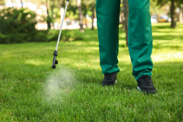 Best Termite Control Services  in Kalifornsky, AK
