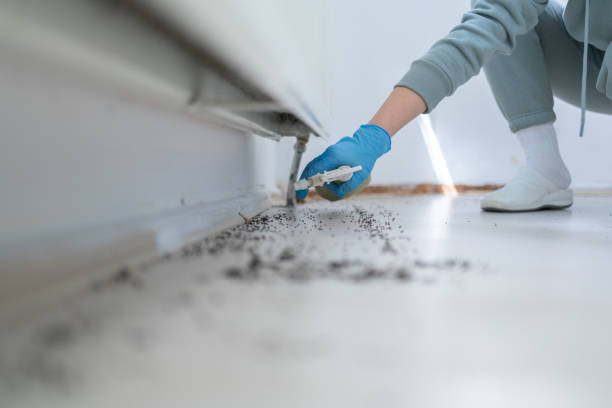 Best Wildlife Control Services  in Kalifornsky, AK