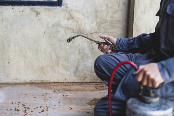 Best Best Pest Control Companies  in Kalifornsky, AK